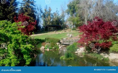 Japanese Garden and Lake editorial stock photo. Image of scenic - 42837173