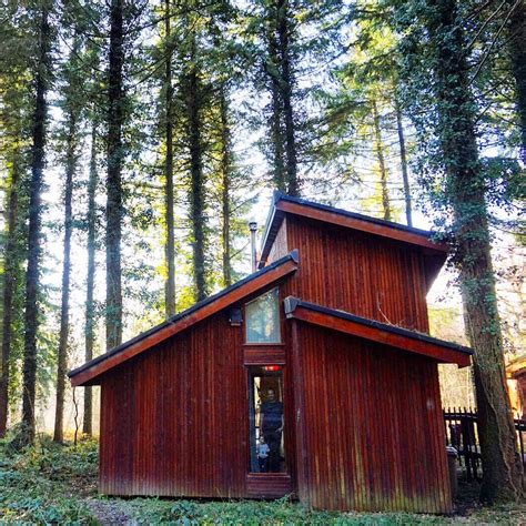 A Log Cabin Break in the Forest of Dean... | Nicola Dunkinson