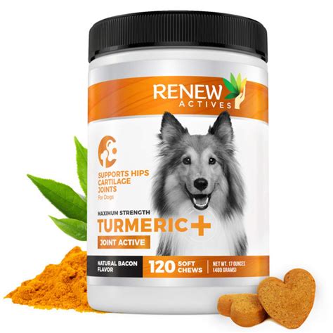 Renew Actives Dog Joint Pain Support Supplement Natural, Advanced Organic Turmeric Joint ...