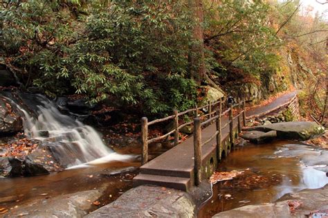 Laurel Falls Trail: Smoky Mountain Hikes - PigeonForge.com