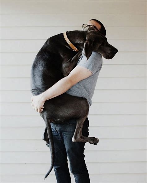 15 Dogs Hugging Their Owners Images To Make You Feel Warm and Fuzzy - Indiatimes.com