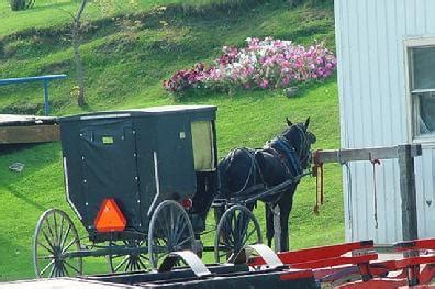 Amish Tours of Harmony - ExploreLaCrosse