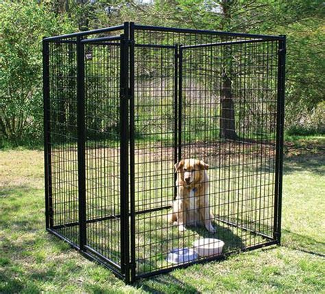 6' H x 5' W x 5' L Powder-Coated Kennel | Pet kennels, Kennel, Dog kennel