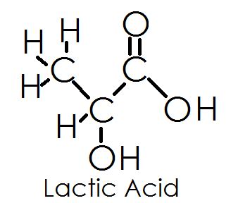 Lactic Acid Fermentation | Products, Equation & Examples - Lesson | Study.com