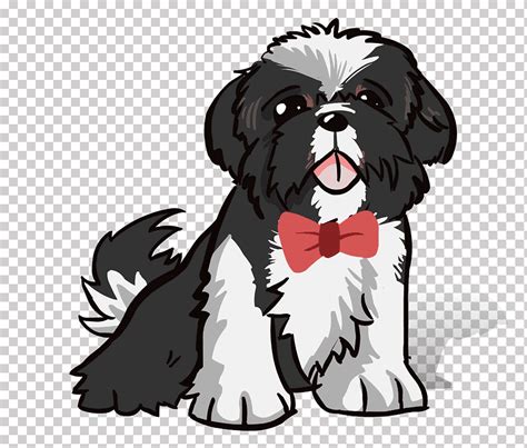 Caricatura de cachorro de perro shih tzu, cachorro, blanco, mamífero, animales png | Klipartz