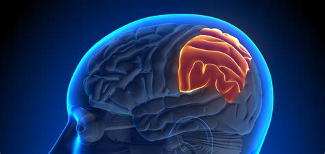 Superior Parietal Lobule Approach