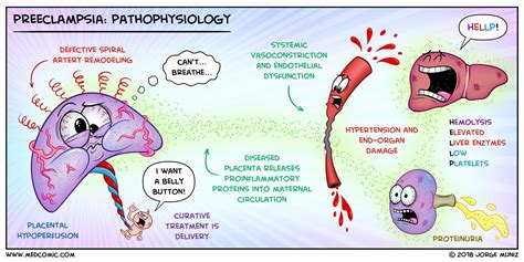 Pin on Internal Medicine