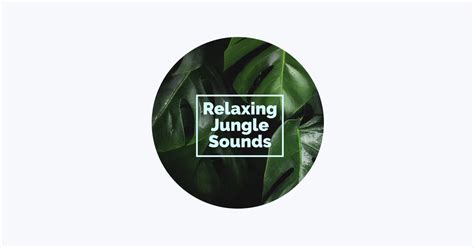 ‎Rainforest Sounds - Apple Music