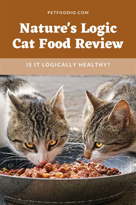 Nature’s Logic Cat Food: Logically Healthy? - PetFoodio.com | Ração gato, Comida de gato, Gatos