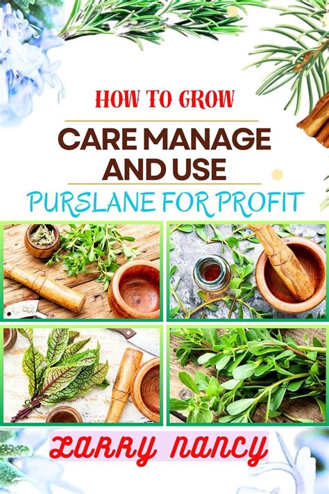 Amazon.com: HOW TO GROW CARE MANAGE AND USE PURSLANE FOR PROFIT: Guide To Growing And Profiting ...