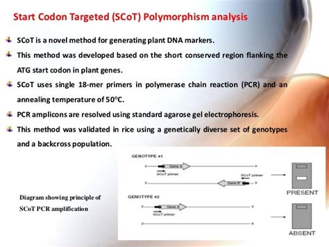 Molecular markers types and applications