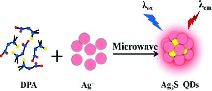 Schematic representation of the Ag 2 S quantum dot synthesis process ...