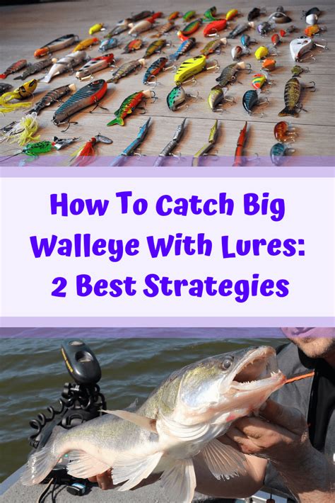 How To Catch Big Walleye With Lures: 2 Best Strategies | Walleye fishing tips, Walleye, Walleye ...