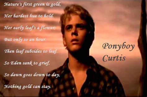 Quotes From The Outsiders Ponyboy. QuotesGram