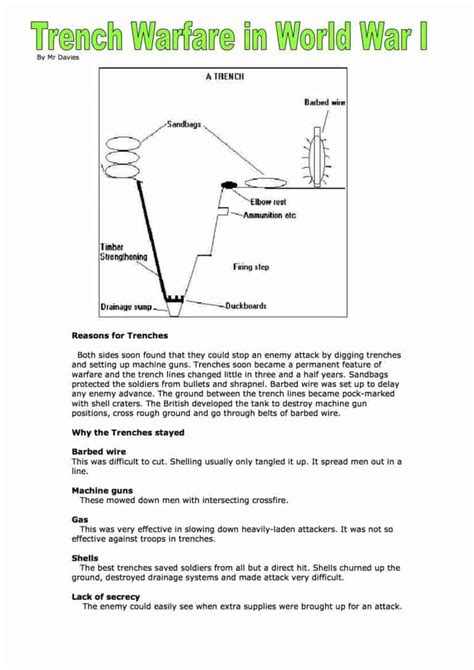 Trench Warfare in World War I Facts & Information Worksheet