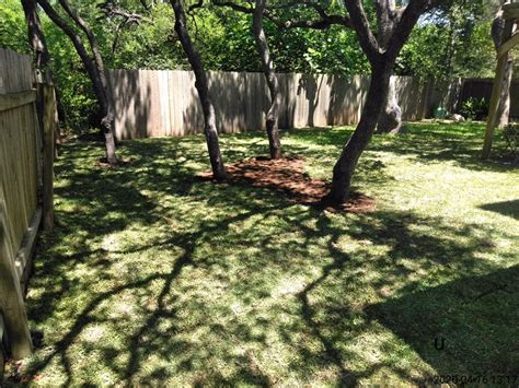 AUSTEX SPRINKLERS - 46 Photos & 264 Reviews - Landscaping - 365 Warehouse Dr, Buda, TX - Phone ...