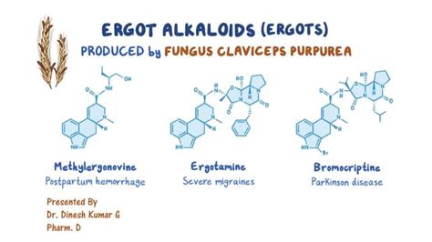 Ergot Alkaloids | PPT