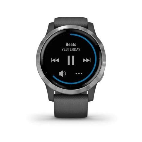 GARMIN VIVOACTIVE 4 Silver/Gray Band | Sporticus