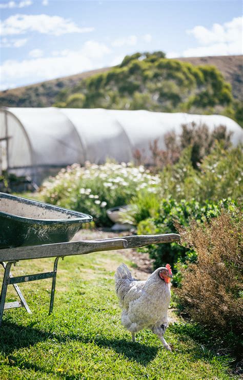 Deep Creek Nursery: Personal passion, community connection. | Gippslandia