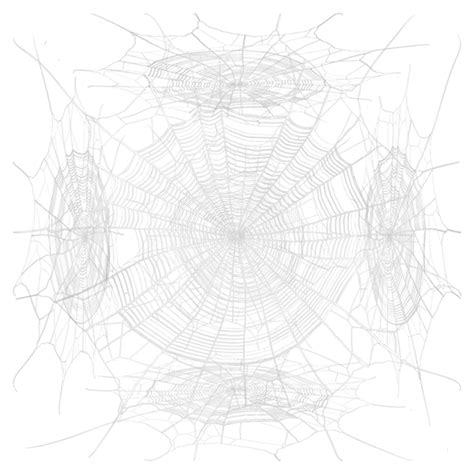 Spider Web Texture PNG