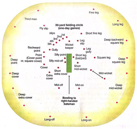 [Latest] Cricket History | Rules | Measurements 2024