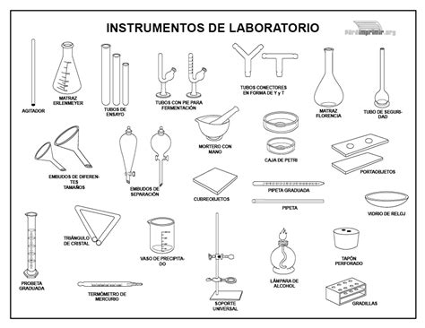 Instrumentos de laboratorio para imprimir en PDF 2024 | Instrumentos del laboratorio ...