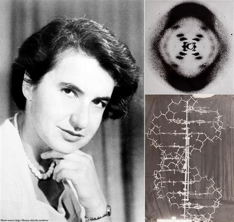 Rosalind Franklin was born OTD in 1920. Many say she should have been awarded a Nobel Prize as ...