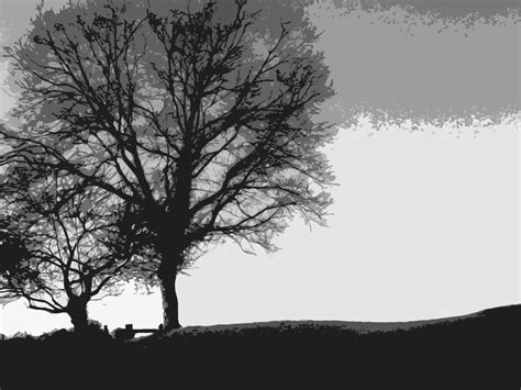 black, And, White, Minimalistic, Trees Wallpapers HD / Desktop and Mobile Backgrounds