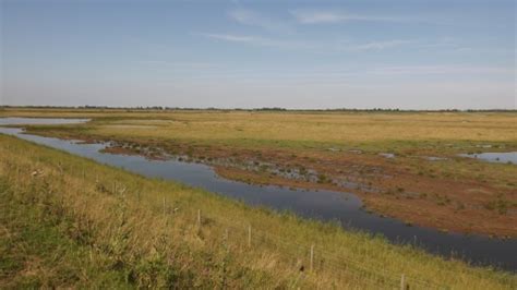 Frampton Marsh | Lincolnshire Wildlife Trust