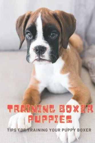 Training Boxer Puppies: Tips For Training Your Puppy Boxer by Mr James Poulin | Goodreads