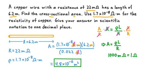 Cross Sectional Area And Length Tension Relationship