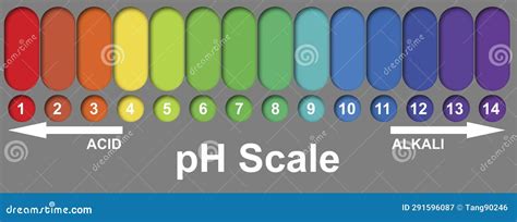 PH Alkaline and Acidic Scale Stock Illustration - Illustration of scale ...