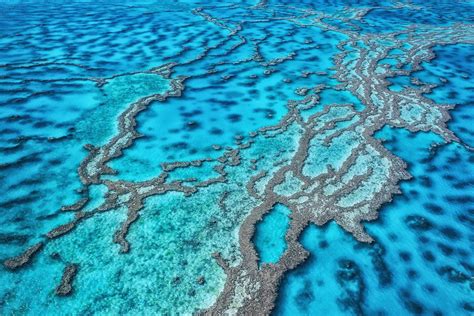 20 Astounding Facts About Great Barrier Reef - Facts.net