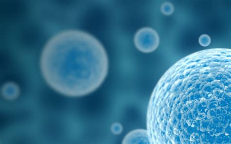 Immunology Wallpapers - Top Free Immunology Backgrounds - WallpaperAccess