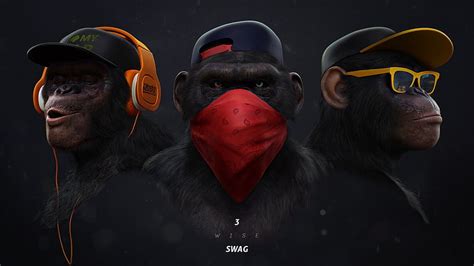 Monkey Swag Not HTS, not hear talk see, HD wallpaper | Peakpx