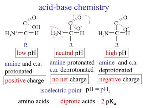 Pin on Biochemistry 2018