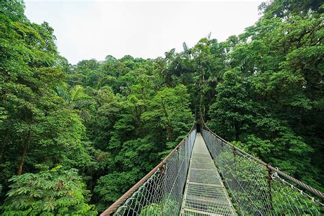 Monteverde Cloud Forest - 5 Days | kimkim