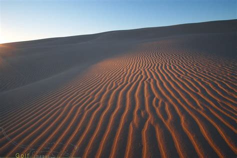 Port Stephens Sand Dunes | Where to go, Travel diary, Backyard