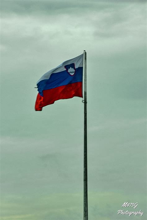 Slovenia, flag, HD phone wallpaper | Peakpx