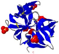 Chymotrypsin - Proteopedia, life in 3D