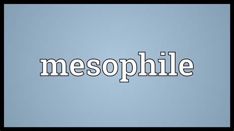 Mesophile Meaning - YouTube