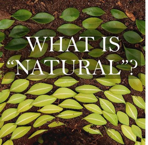 What is "Natural"? - Celtic Sustainables