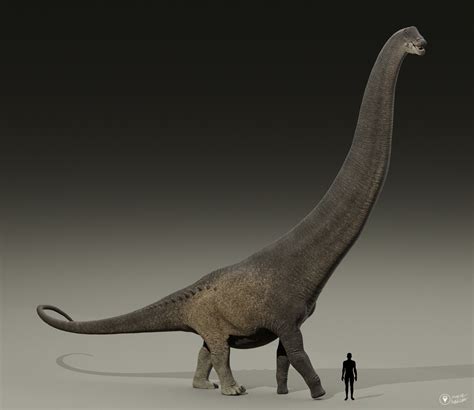 ArtStation - A Plethora of Sauropodomorphs