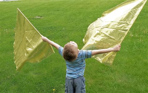 Child Worship Flags, Dance Flags, Praise Flags, Angel Wings - Glory Gold, Silver, Red, Blue ...