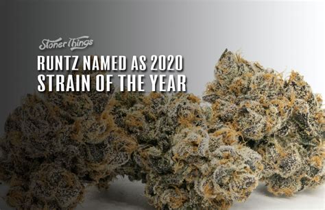 Runtz Named As Leafly's 2020 Strain of the Year - Stoner Things