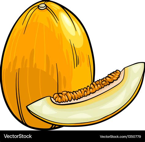 Melon fruit cartoon Royalty Free Vector Image - VectorStock