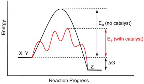 Difference Between Homogeneous and Heterogeneous Catalyst | Compare the ...