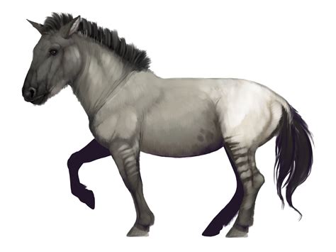 Ancient Horse (U.S. National Park Service)