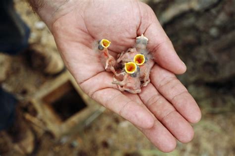 Stunning Images Of The Thousands Of People Who Still Live Near Chernob