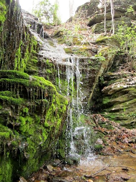 Mossy Waterfall 5X7 Photo green moss covered rocks enchanted | Etsy